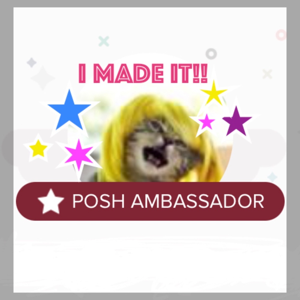 ✨😎Posh Ambassador😎✨